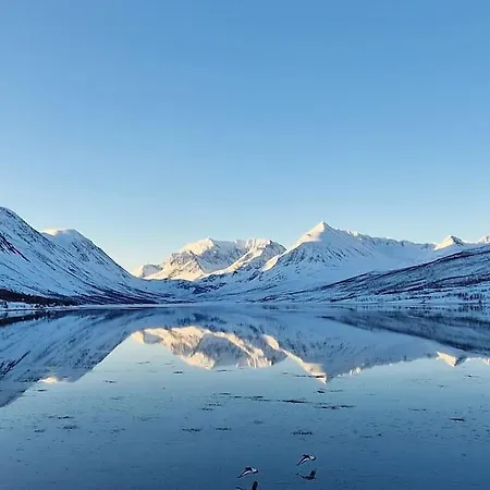 別荘 Blabergan In The Lyngen Alps *